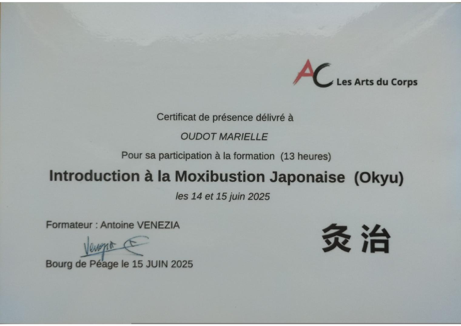 Certificat Moxibustion Japonaise